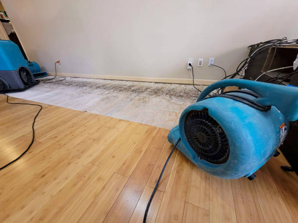 Reliable Basement Flood Cleanup contractor in West Point, VA by Hirex Water Damage