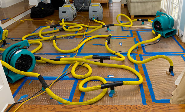 Professional Basement Flood Cleanup technician working in West Point, VA